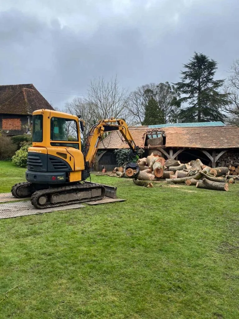 This is a photo of a tree which has grown through the roof of a barn that is being cut down and removed. There is a digger that is removing sections of the tree as well. Beeston Tree Surgeons