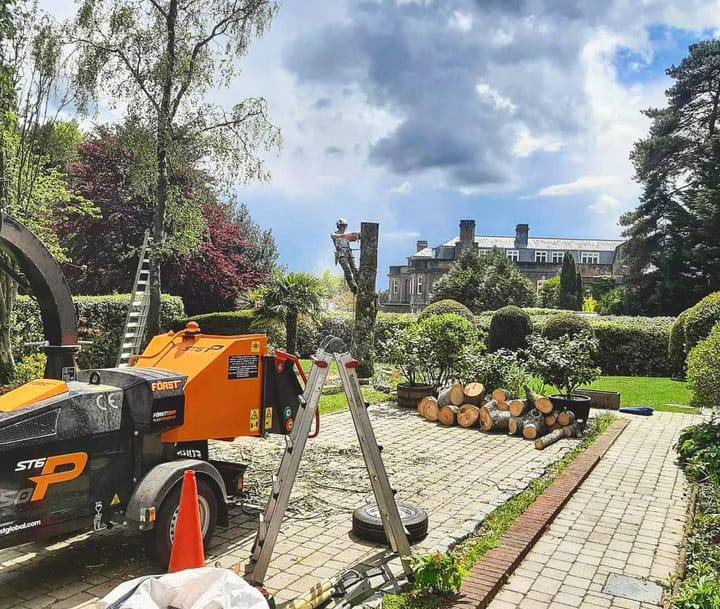 This is a photo of a tree being felled. A tree surgeon is currently removing the last section, the logs are stacked in a pile. Beeston Tree Surgeons