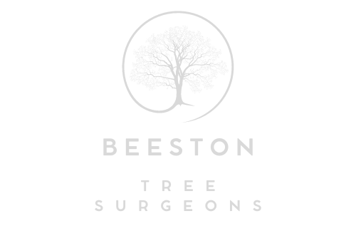 Beeston Tree Surgeons